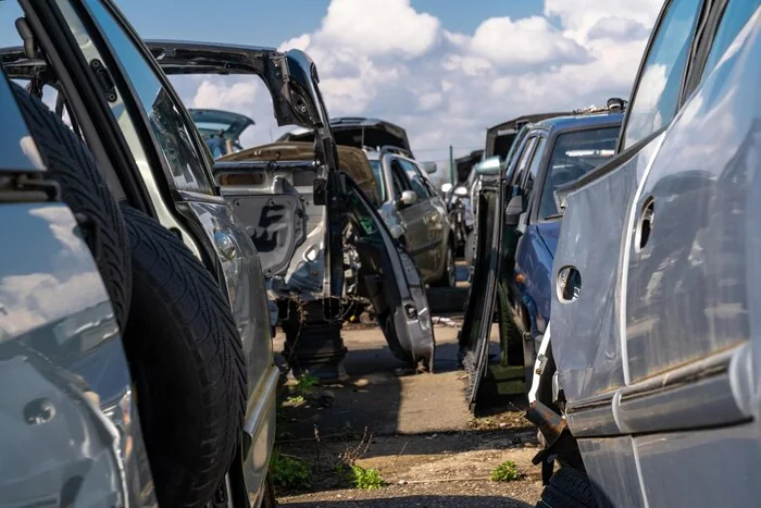 Dismantled vehicles in a salvage yard
