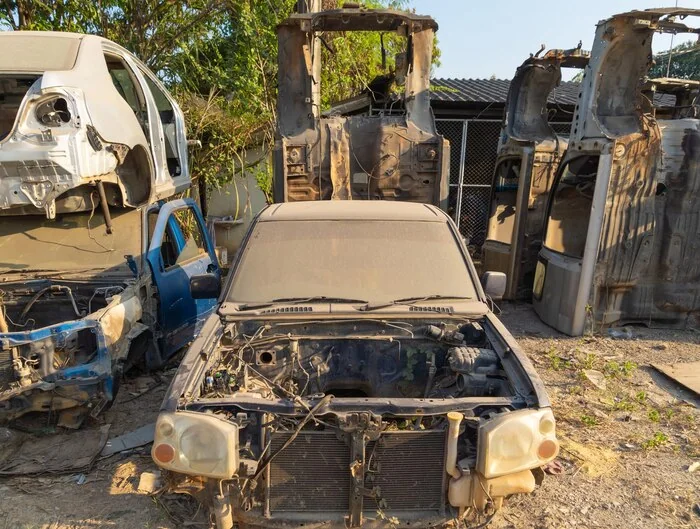 Stripped vehicle bodies at a salvage yard